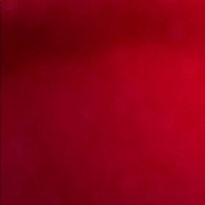 Meet your Posher, Sandy